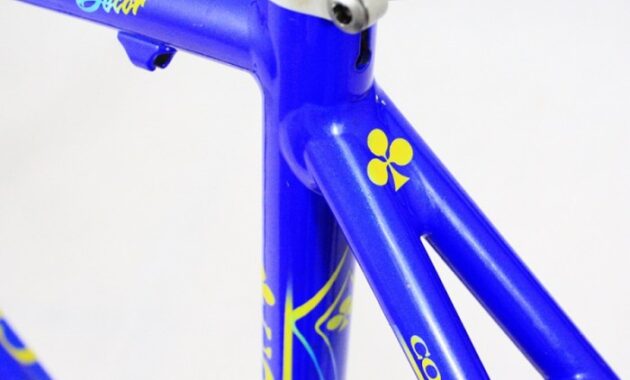 Colnago Dream Art Decor Where Cycling Meets Creativity