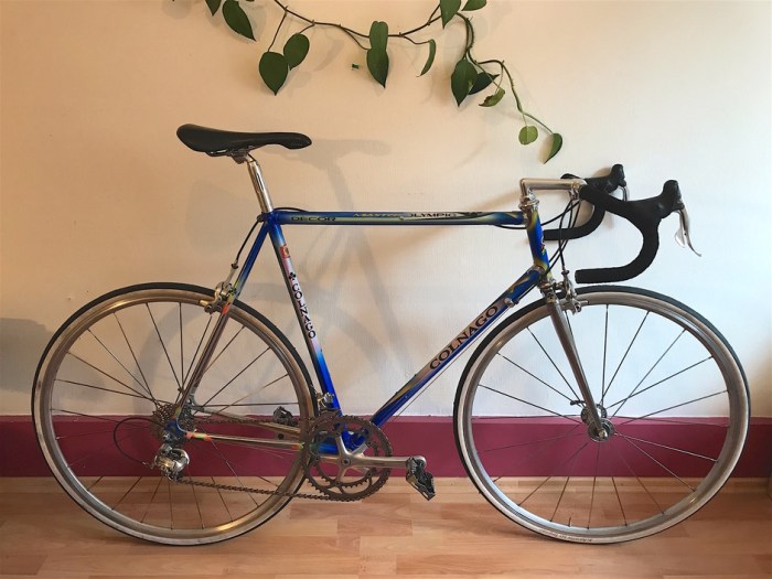 Colnago ariostea